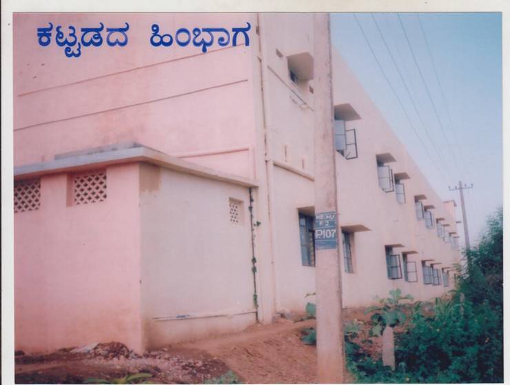 building back.jpg